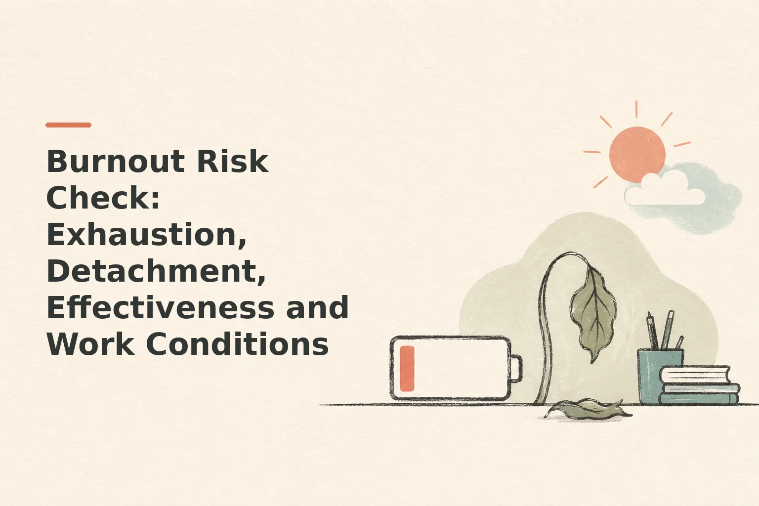 Burnout Risk Check: Exhaustion, Detachment, Effectiveness and Work Conditions
